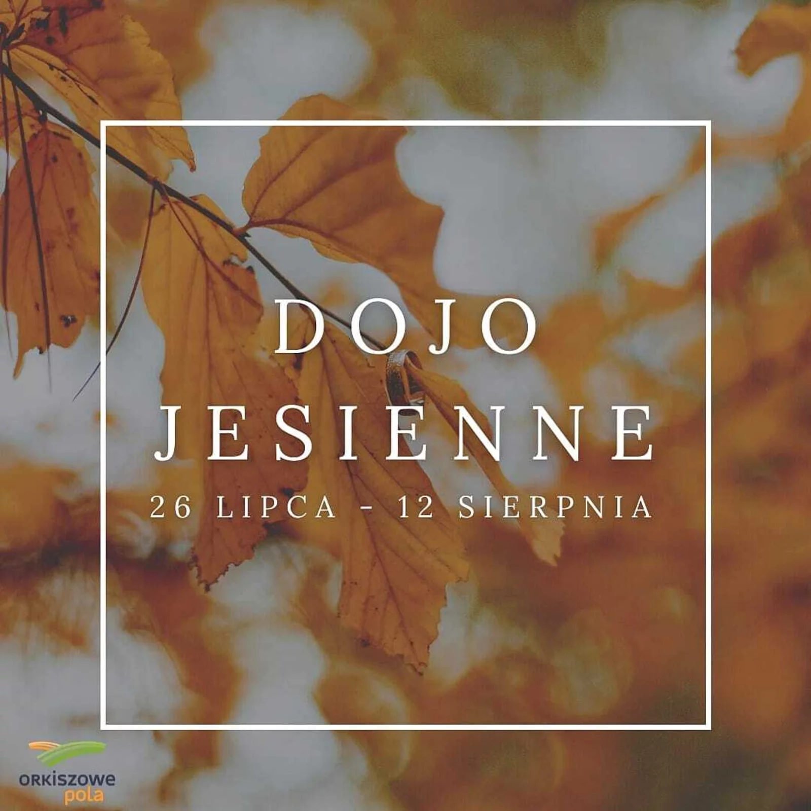 Dojo jesienne i przemiana Ziemi w medycynie chińskiej. 