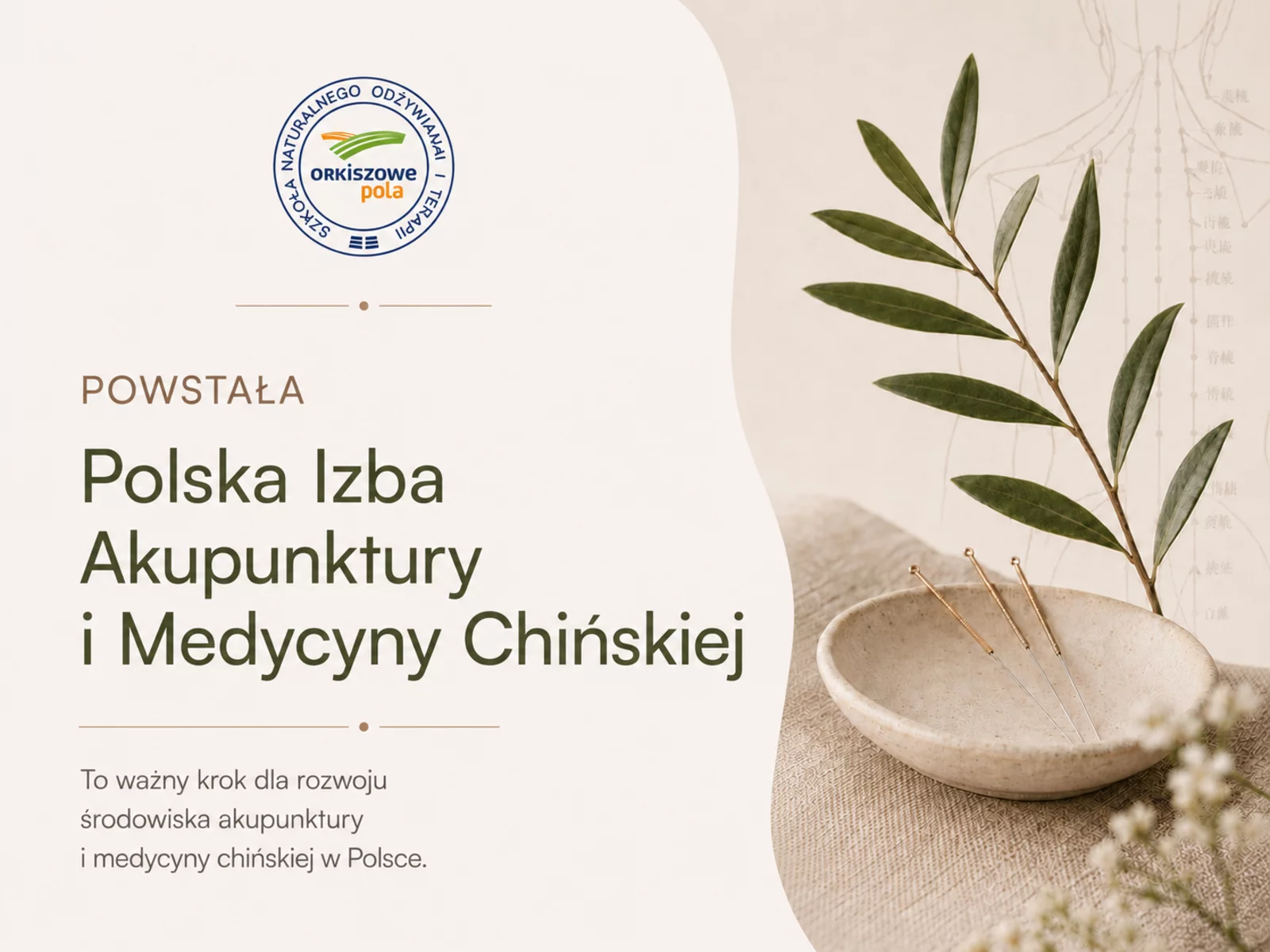 Powstała Polska Izba Akupunktury i Medycyny Chińskiej