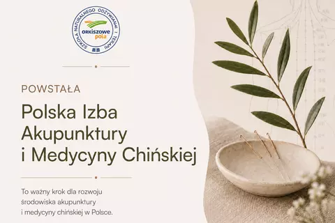 Powstała Polska Izba Akupunktury i Medycyny Chińskiej